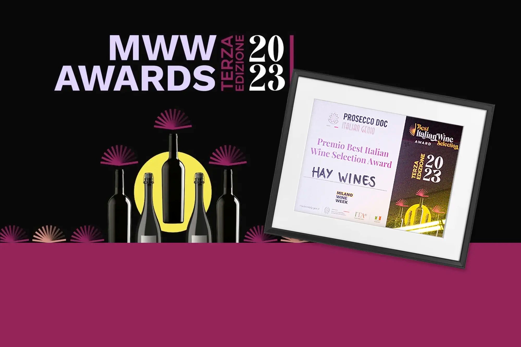 Hay Wines (Ledbury) Celebrates Victory at Milan Wine Week with Best It