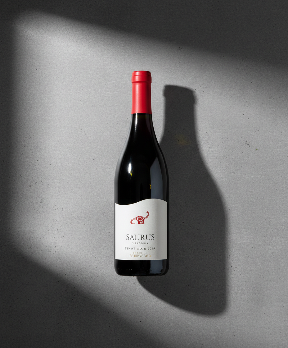 Familia Schroeder Saurus Pinot Noir 2024 bottle in gallery position 1 with shadow on gray surface