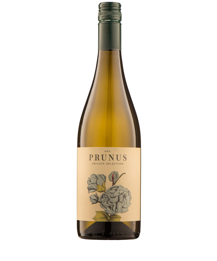 Prunus Dao Branco 2022 white Portuguese wine bottle image