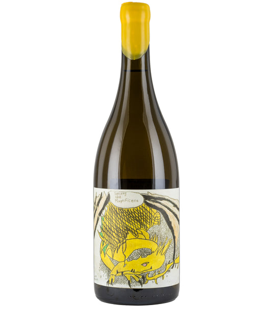 Blank Bottle Smaug the Magnificent 2022 wine bottle with yellow wax seal and dragon label design