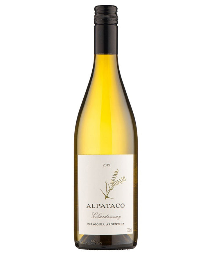 Familia Schroeder Alpataco Chardonnay 2024 white Argentine Patagonia wine bottle image
