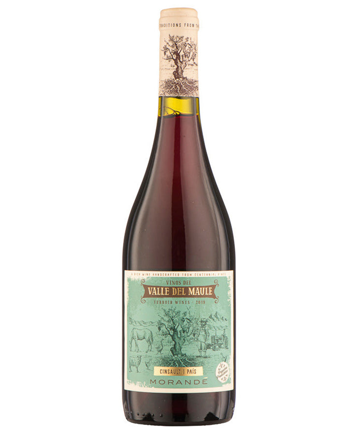 Morande Cinsault Pais 2022 red Chile Maule Valley wine bottle image
