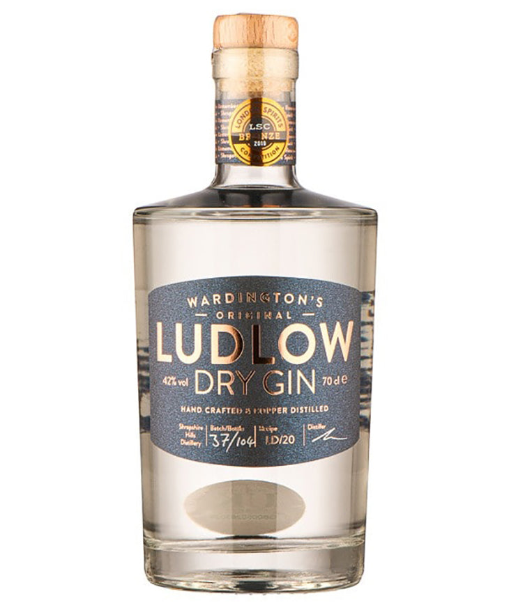 Ludlow Dry Gin English spirit bottle image