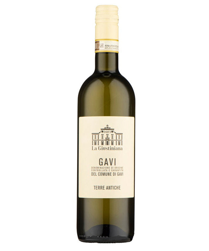 Terre Antiche Gavi di Gavi 2024 Italian white wine from Piemonte – wine bottle image