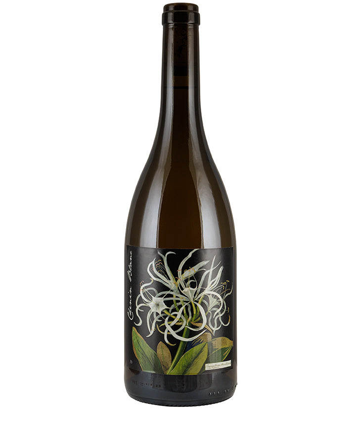 Bottle of Botanica Mary Delany Chenin Blanc 2022 white wine with botanical floral label design