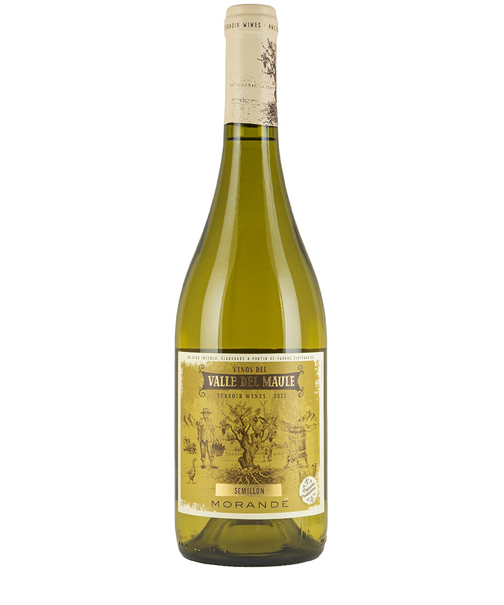 Morande Terroir Wines Semillon 2025, Maule Valley, Chile