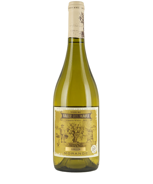 Bottle of Morande Terroir Wines Semillon 2023 white wine from Chile with detailed label design.