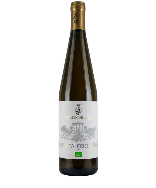 Saladini Pilastri Falerio dei Colli 2025 white wine bottle